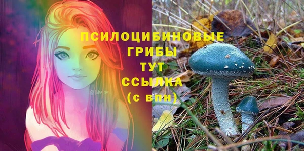 прущий лед Белокуриха