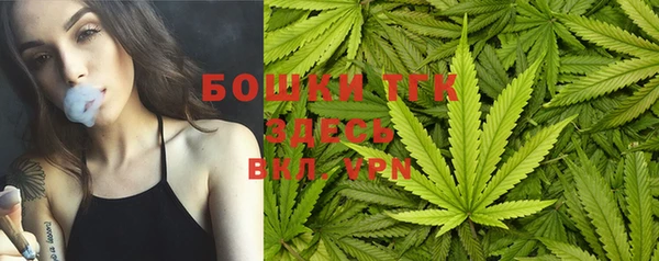 прущий лед Белокуриха